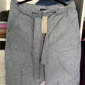 Banana Republic Striped Ankle Pants - Blue and White ankle cargo pants sz 10 pet